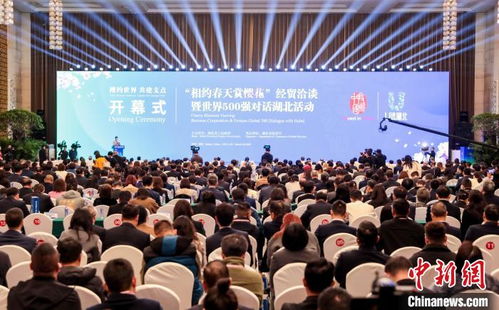 中國新聞網 一城浪漫激發多元活力