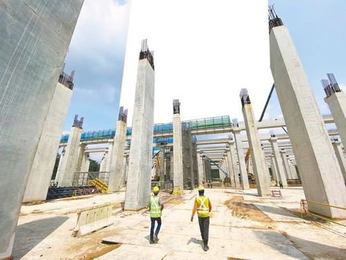 星島智聯通世界 楚天云錦下南洋 在新加坡看湖北數字應用服務國際貿易