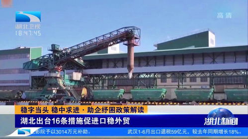 湖北出臺16條措施促進口穩外貿