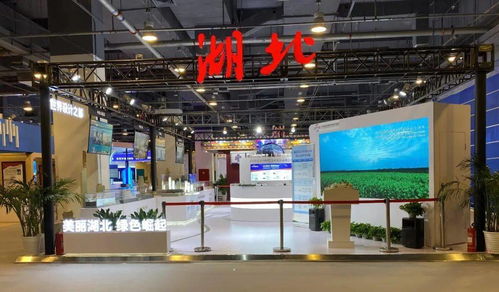 2021年中國國際服務貿易交易會昨晚北京開幕 湖北超百家企業參加