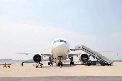 66噸非洲咖啡豆 空降 鄂州 中非空中絲路刷新貿易時速