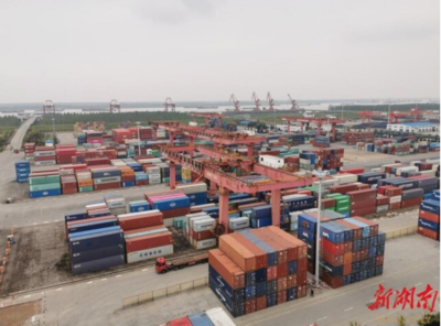 第二屆湖南(岳陽)口博會外賓代表進行項目考察交流