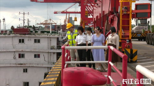 這項稅費優惠政策落地 湖北首個受益企業來了