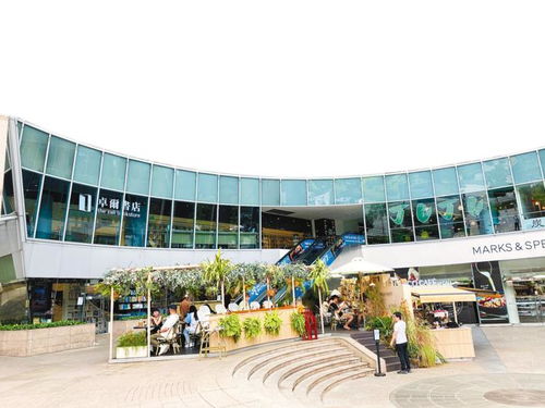 在新加坡看湖北數字應用服務國際貿易