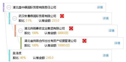 湖北盛中德國際貿易有限責任公司