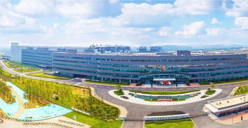 頭條 快來投票 2017光谷十大新聞事件由你來定