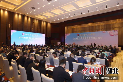 中新網湖北 2024武漢市招商引貿對接交流會簽約24個項目