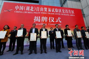 中國 湖北 自由貿易試驗區宜昌片區揭牌運行 圖