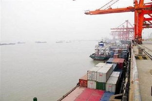 少用240萬張a4紙 湖北省外貿通關實現全流程 無紙化