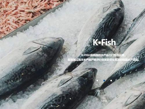 韓國水產協會上海貿易支援中心 舉辦k seafood線上采購洽談會