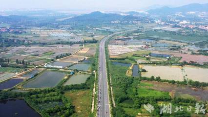 全省最美農村路,武漢蔡甸嵩陽公路成功入選