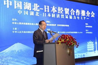 王曉東在中國湖北─日本經貿合作推介會上的致辭