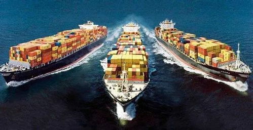 2020湖北外貿逆勢創新高,網來云商也將再接再勵,乘東風 展鴻圖