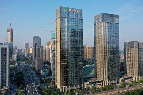 湖北國貿收購完成,上海雅仕將換帥