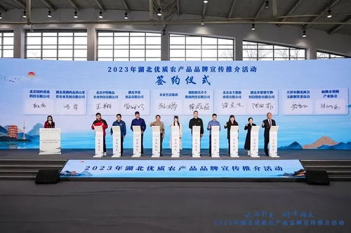 品牌推介 洪湖蓮藕 代表湖北進京