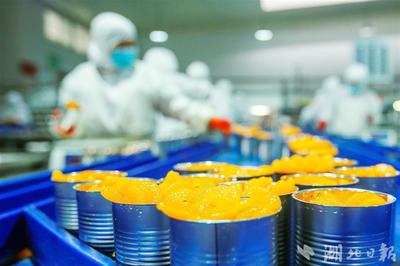 湖北日報報道:國貿基地建設案例匯編首發 我省4個基地入選