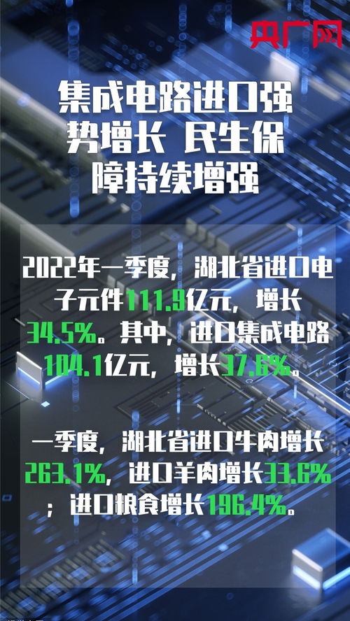 海報丨2022年一季度湖北外貿進出口有這些特點