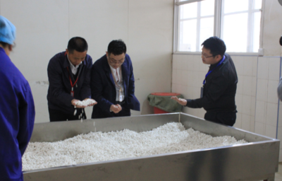 湖北九資河正光藥業公司企業簡介