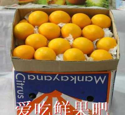 湖北秭歸泄灘臍橙批發貿易公司 優質臍橙的專業供應商